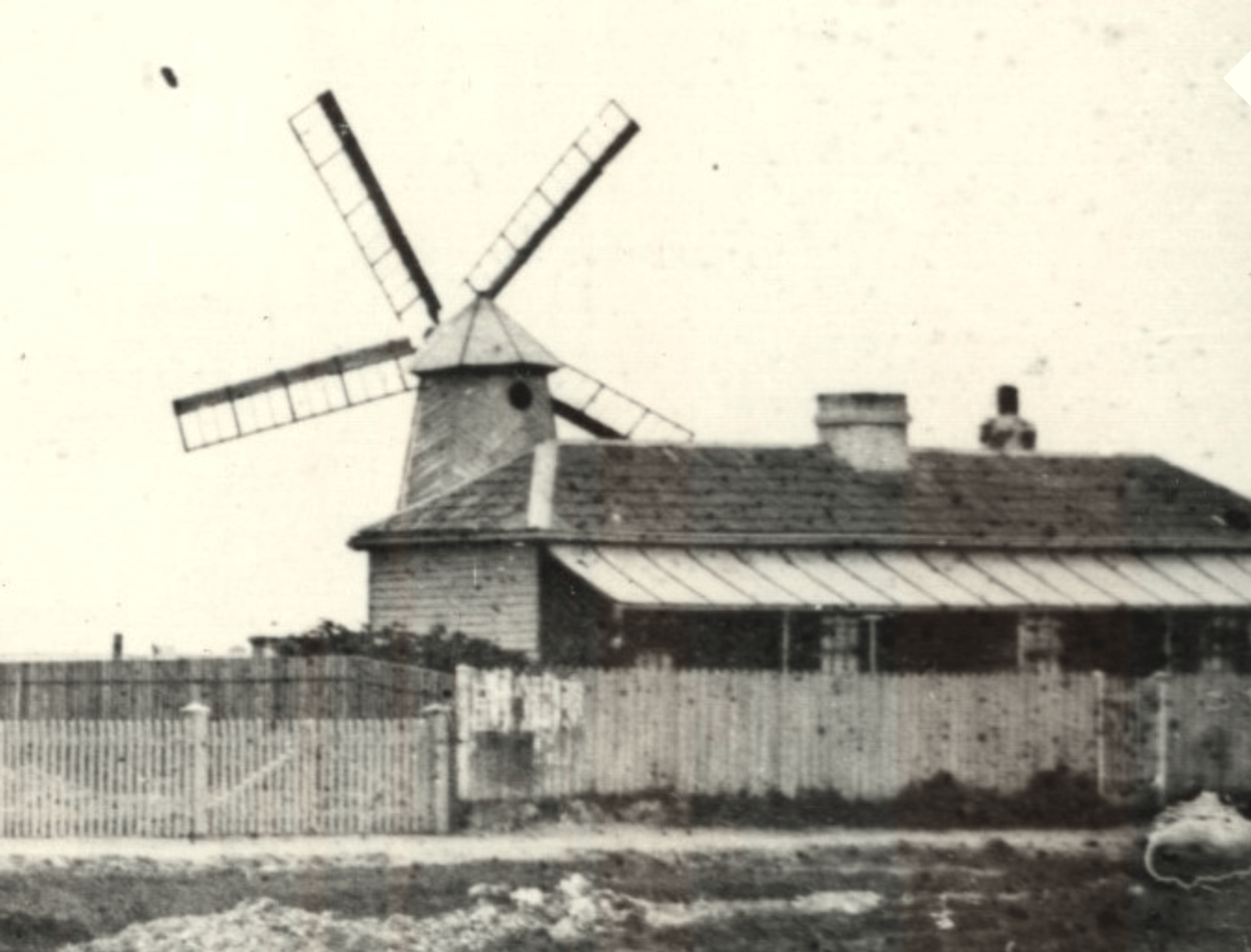 historical photo of windmill operated flour mill port fairy